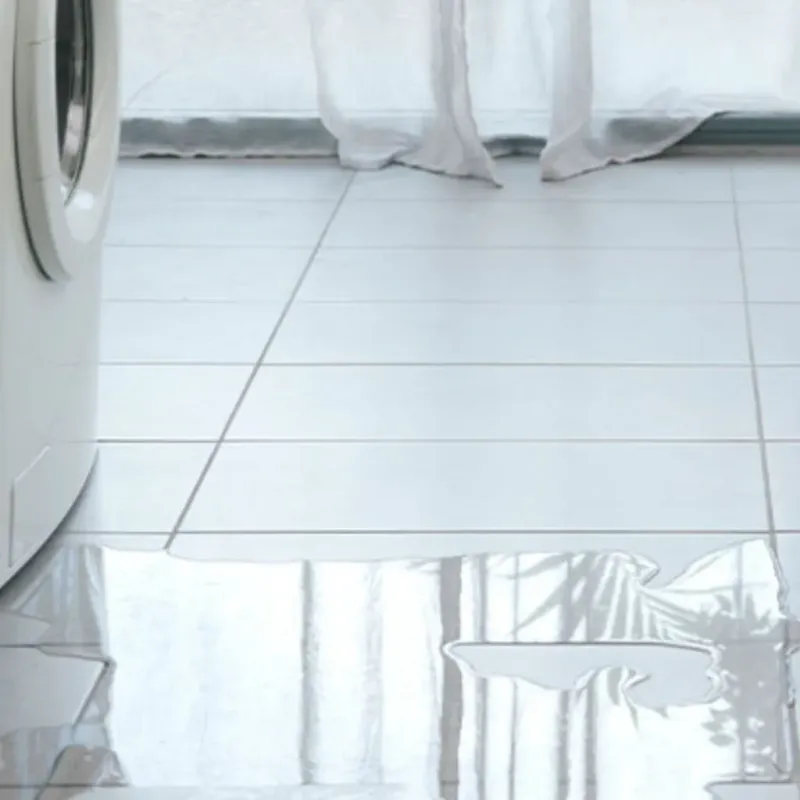 Appliance Leak Cleanup in Lafayette, OR
