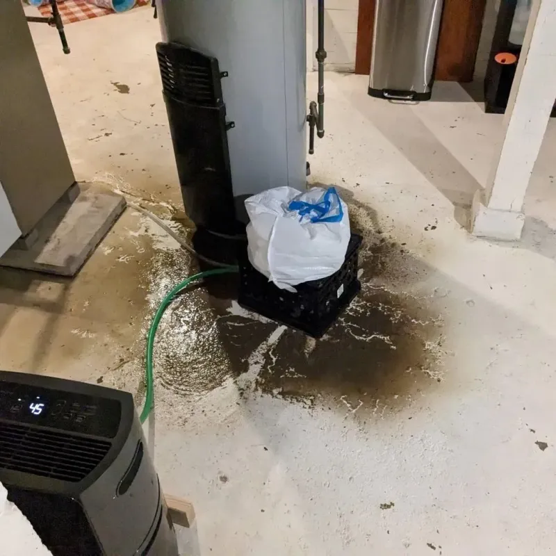 Sewage Backup Cleanup Service in Lafayette, OR